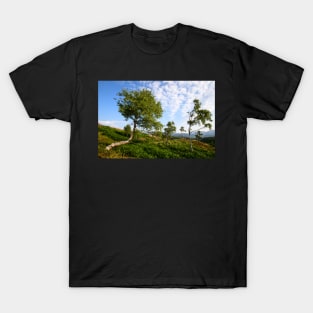 Spring on Tom Heights T-Shirt